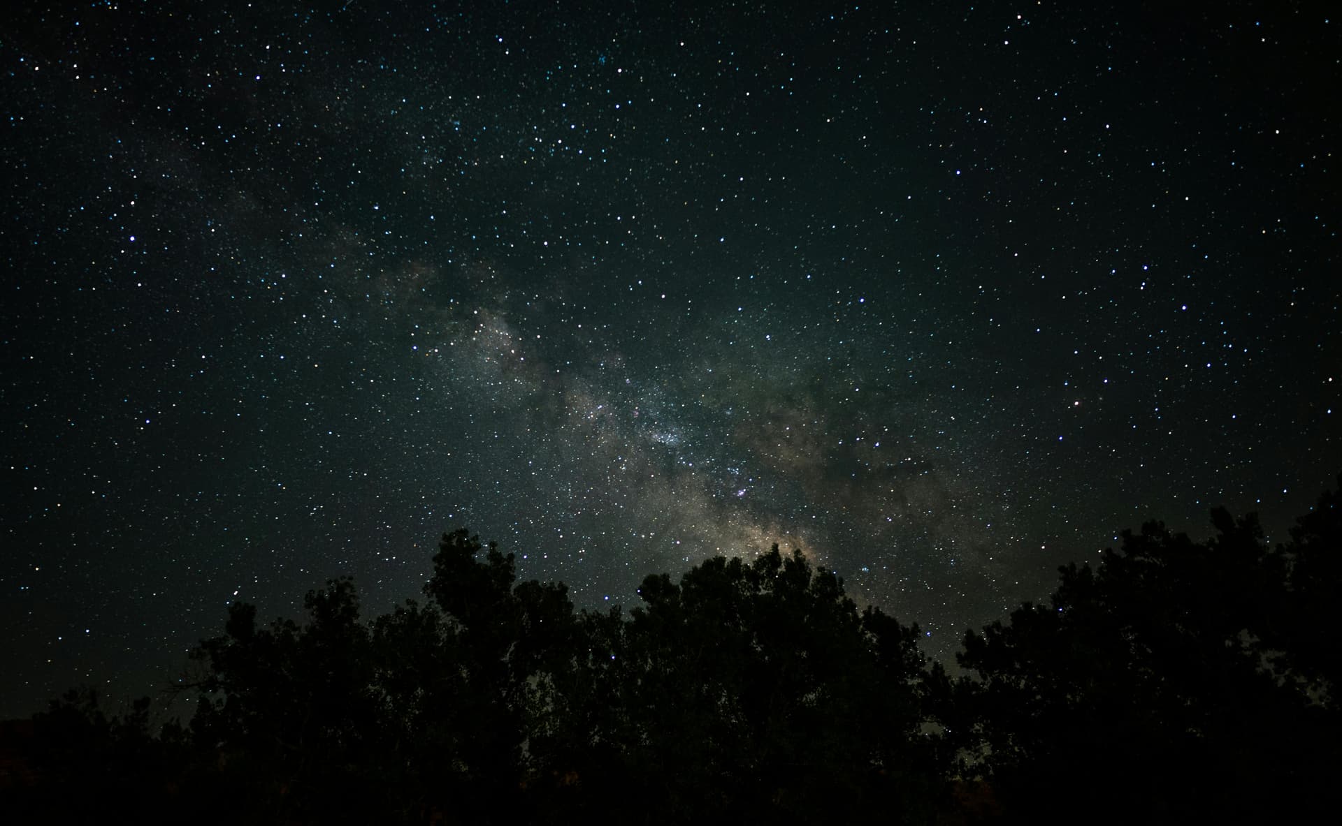 Starry night sky with the Milky Way visible above the dark silhouette of a forest.