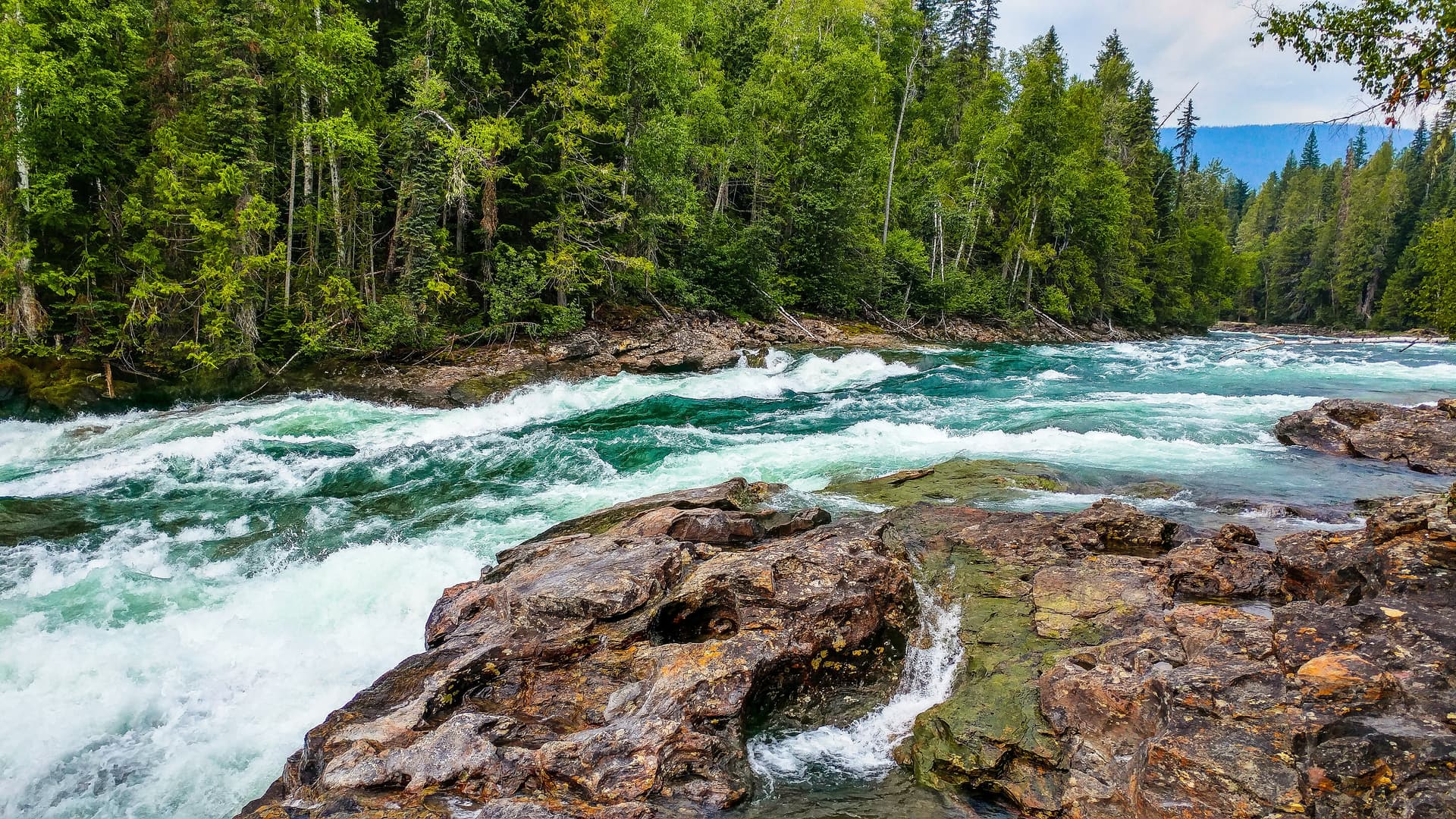 Fast flowing river with white water rapids running between rocks and a lush forest.
