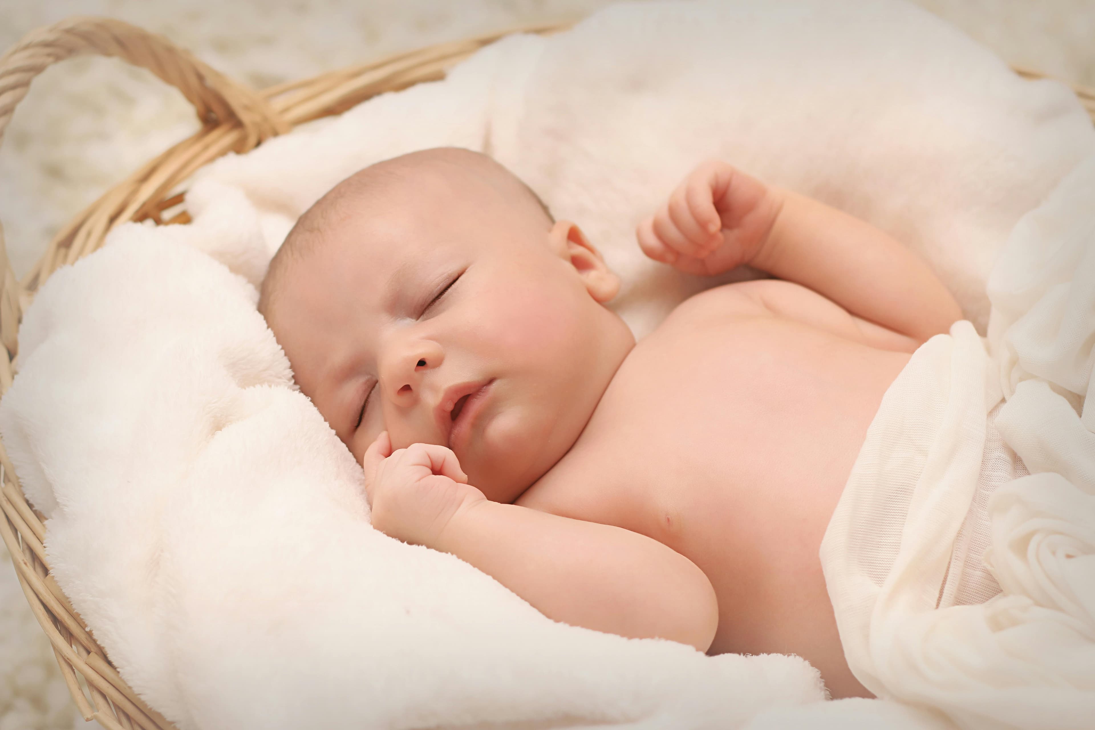 Sleeping newborn in a basket, wrapped in a white blanket..